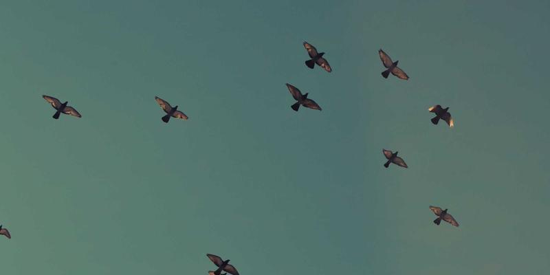 PS5 Pro规格泄露深度分析：电玩性能革命与游戏评测前瞻