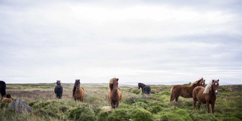 Unity与Unreal Engine 5终极技术对比：YYB JGS游戏攻略与电玩开发选型指南