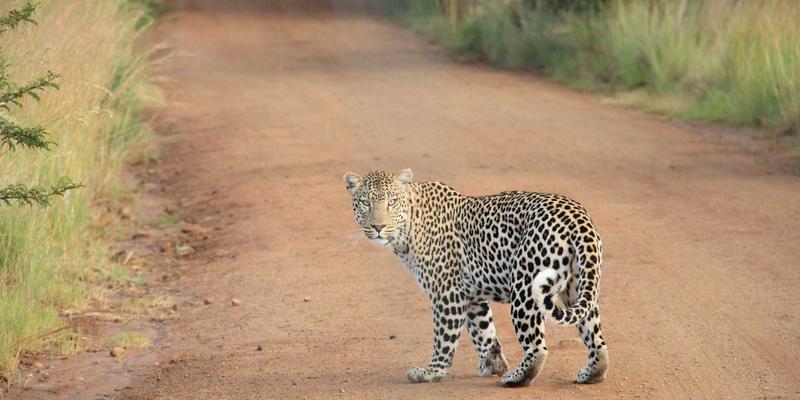 YYB JGS深度解析：玩家社区如何重塑游戏评测生态