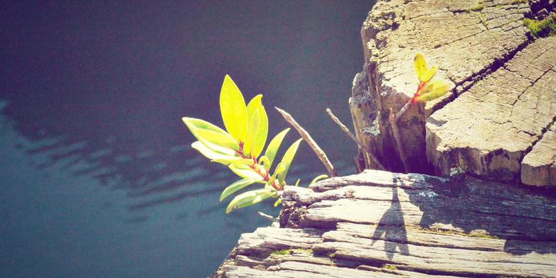 YYB JGS电玩深度评测：RTX 40系显卡对决PS5 Pro，谁才是3A大作的终极玩家社区之选？