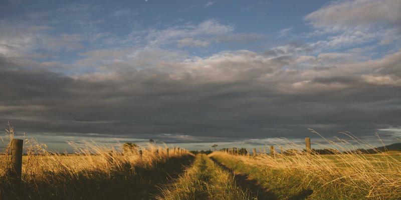 云游戏平台深度体验报告：GeForce Now与Xbox Cloud的技术现状、延迟实测与未来展望 | YYB JGS 电玩攻略