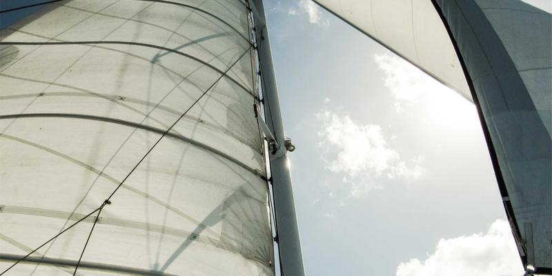 从《吸血鬼幸存者》到《深岩银河》：玩家社区如何重塑合作与单人肉鸽游戏的玩法设计