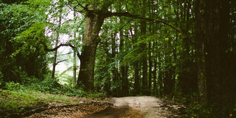 从《星露谷物语》到《空洞骑士》：独立游戏众筹成功案例深度评测与YYB JGS游戏资讯解析