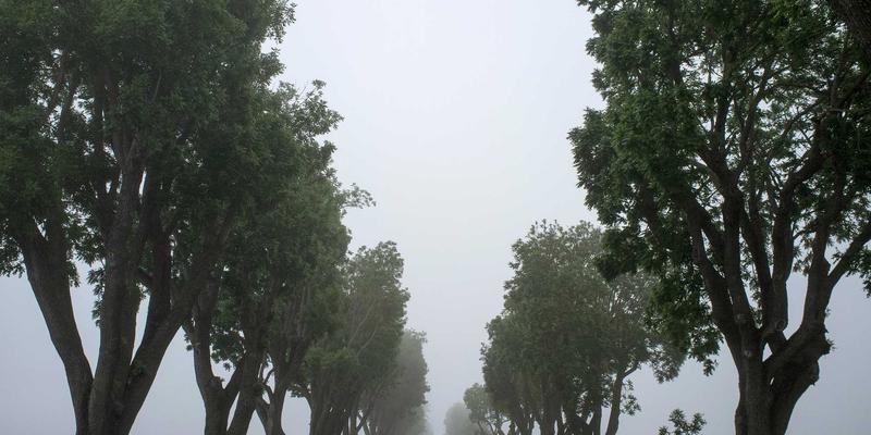 无障碍游戏设计指南：为视障、听障及运动障碍玩家打造包容性体验 | 玩家社区必读攻略