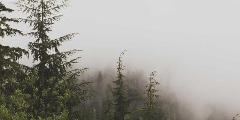 游戏叙事艺术研究：如何通过环境叙事与碎片化叙事提升玩家沉浸感 | 深度游戏评测