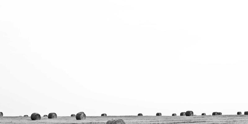 游戏评测与攻略必备：解析音乐与音效如何塑造沉浸式游戏世界与情绪氛围