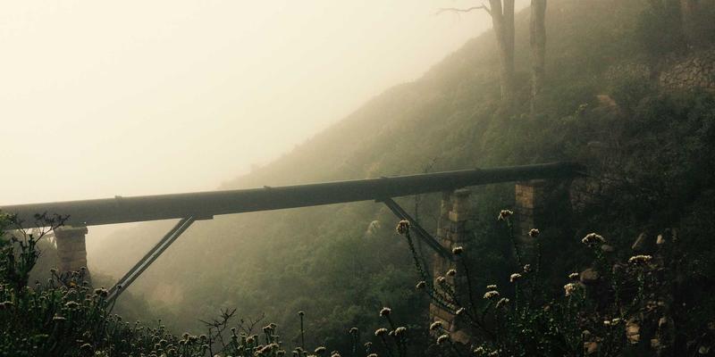 游戏资讯99:攻略、社区与资讯三位一体的玩家成长生态