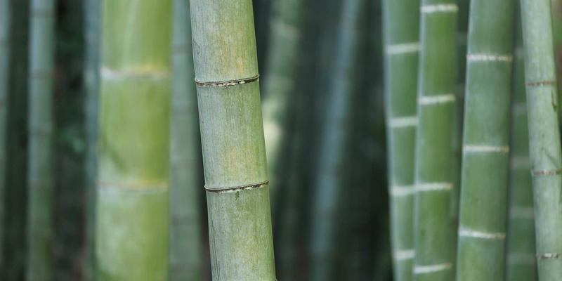 游戏资讯是什么？从电玩文化到YYB JGS，解码数字时代的玩家指南